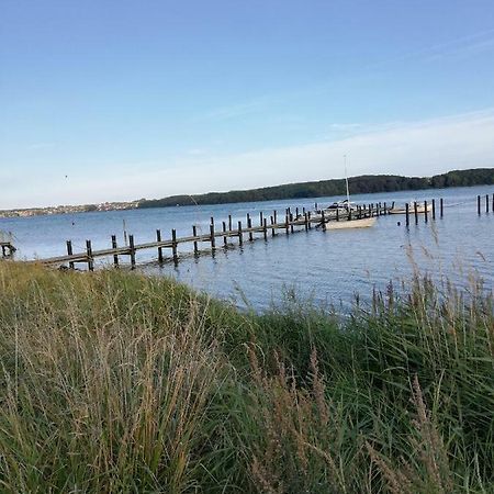 Tankefuld Living'S Horsefarm Svendborg Exterior foto