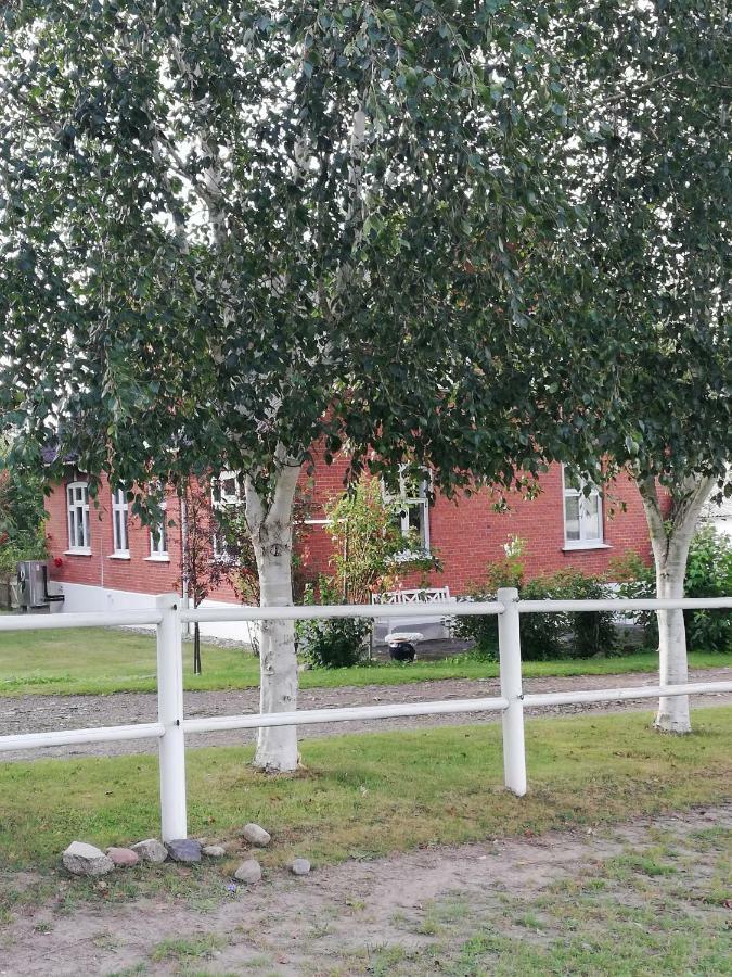 Tankefuld Living'S Horsefarm Svendborg Exterior foto